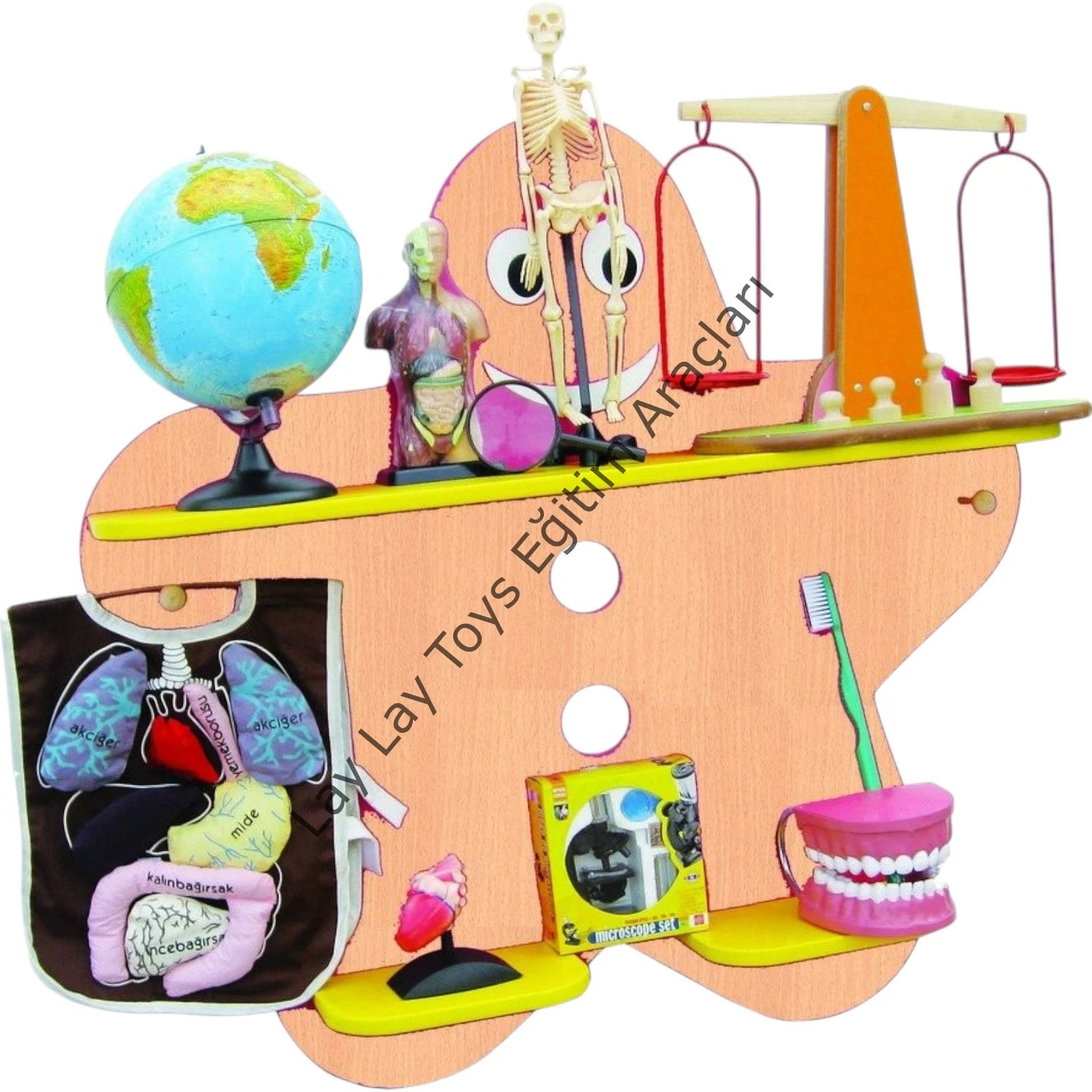 Anaokulu için fen ve doğa köşesi kayın duvara monte