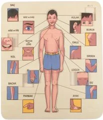 Vücudumuzu Tanıyalım Puzzle 33x33 cm ahşap eğitim seti