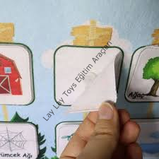 Hayvanların Yaşam Alanı Panosu (cırtlı)