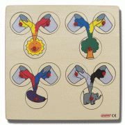 Renk Karıştırma Oyunu (30*30 cm)