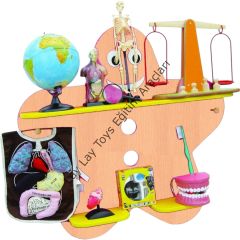 Fen Ve Doğa Köşesi Kayın (Aletleri Hariç)